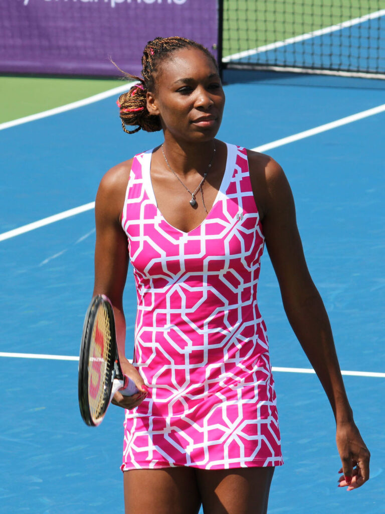 Venus Williams Vermögen